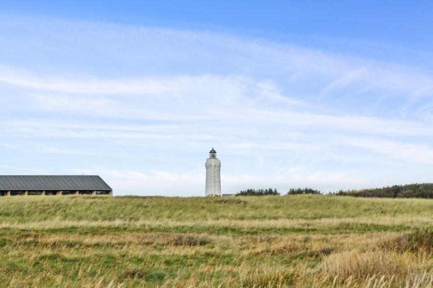 "Simona" - 300m from the sea in NW Jutland - foto 22