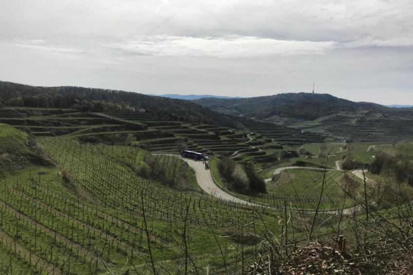 Ferienwohnung Am Marktplatz - foto 25