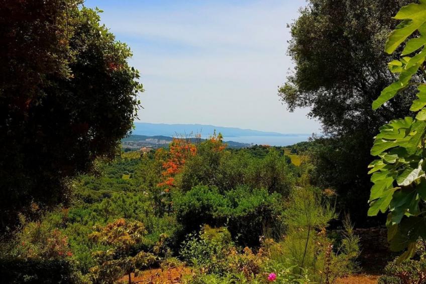 mit Blick auf das Wasser - foto 17