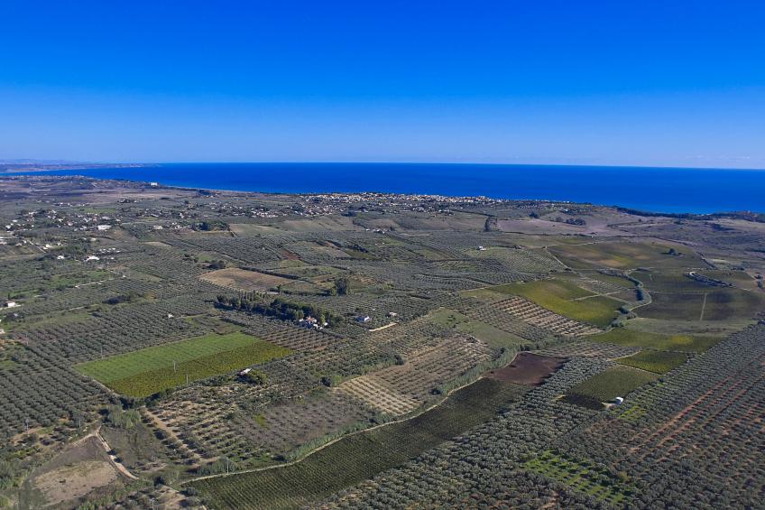 in Castelvetrano mit Gepflegtem Garten - foto 28