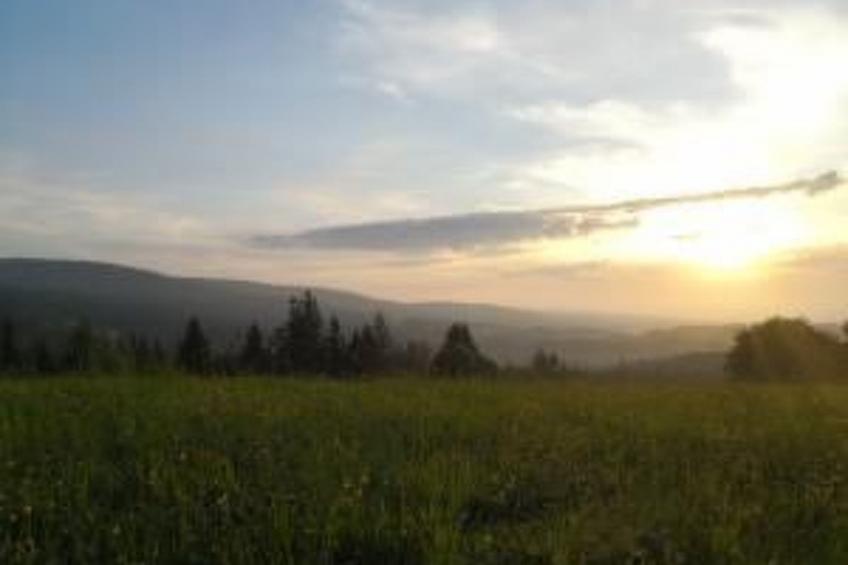 im Naturpark Steinwald - foto 23