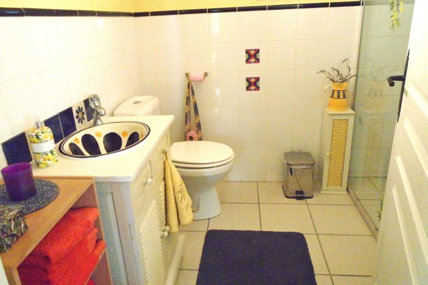 La Soleillade apt mit exklusiver Nutzung des großen Pools - foto 23