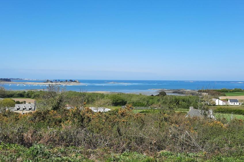 Die Ruhe des Landes am Meer in einer Region mit Gemüseanbau - foto 58