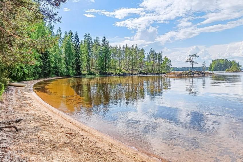 Metsätähti - foto 2