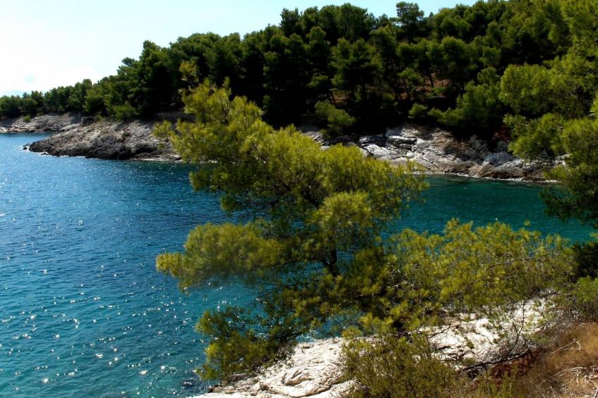 Kleines Steinhaus in einem ruhigen Ort auf der Insel Solta - foto 21