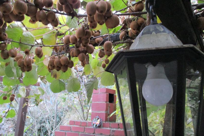 mit Balkon und Terrasse - foto 45