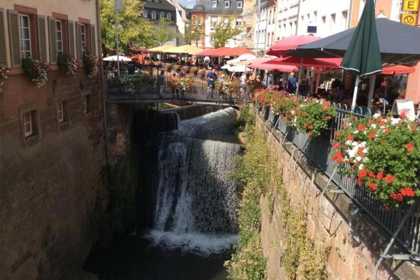 Einzigartige Lage direkt Mosel und Radweg. - foto 21