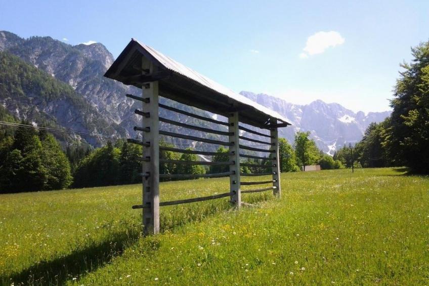 mit Balkon - foto 38