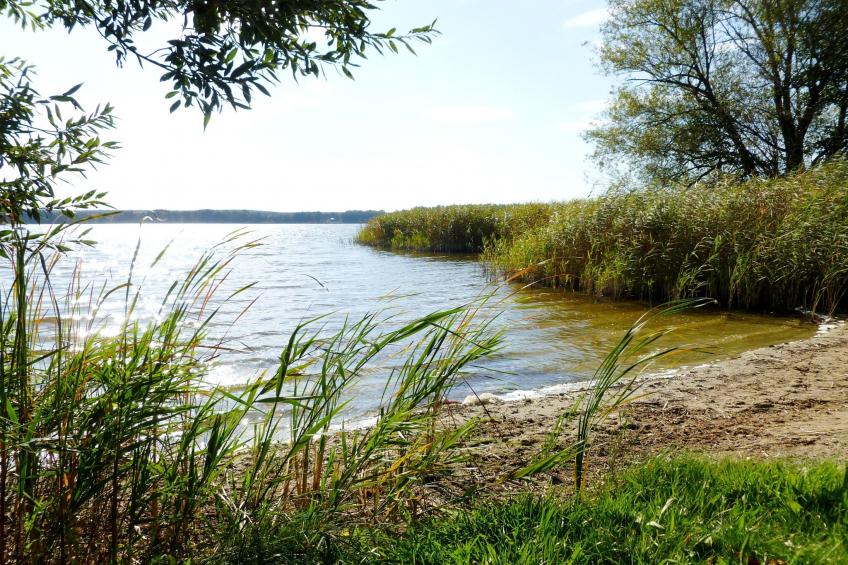 Ferienhaus 4 Elemente - foto 22