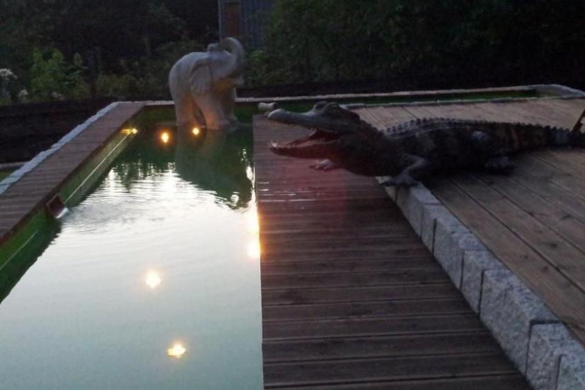 in Kuhklingen mit Großer Terrasse - foto 9