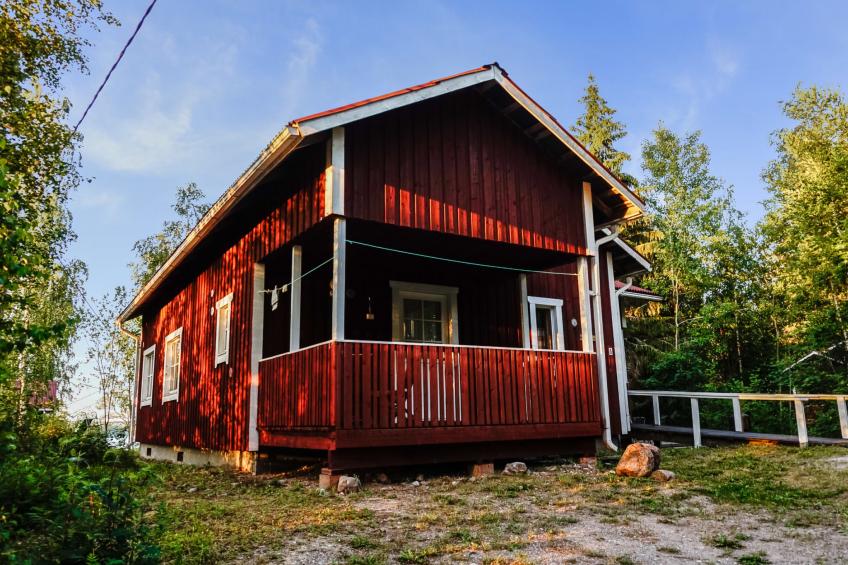 Merimetso - foto 22