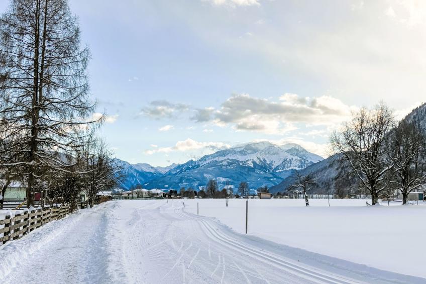 Apartment Anneliese - foto 41