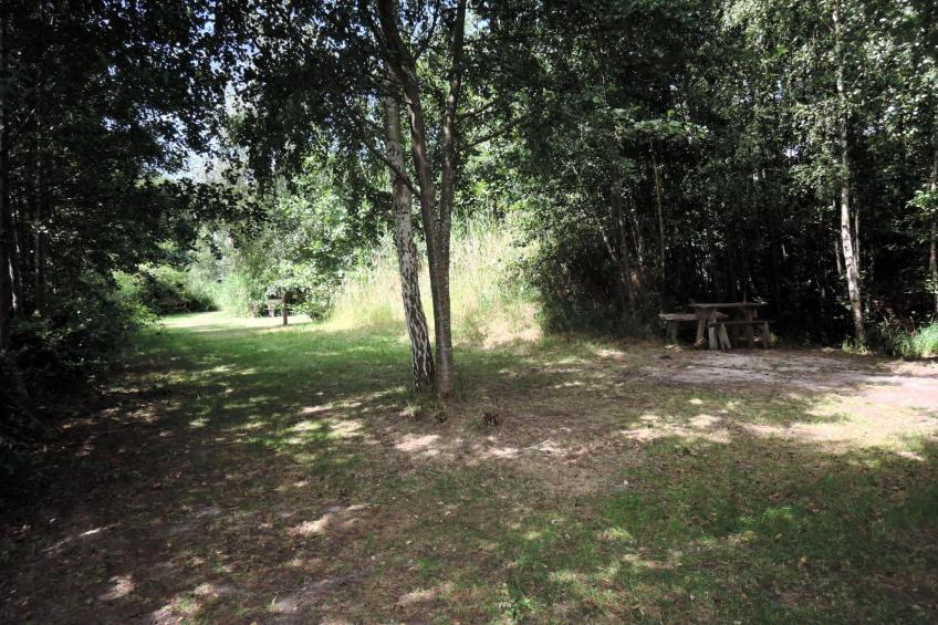 Pod świerkami pokój nr 4 dla 5 osób - foto 26