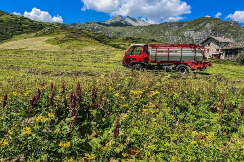 mit Panoramablick in die Bergwelt - foto 17