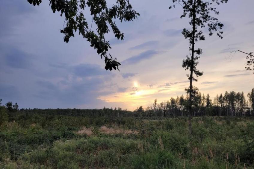 Meisdorf I - foto 34