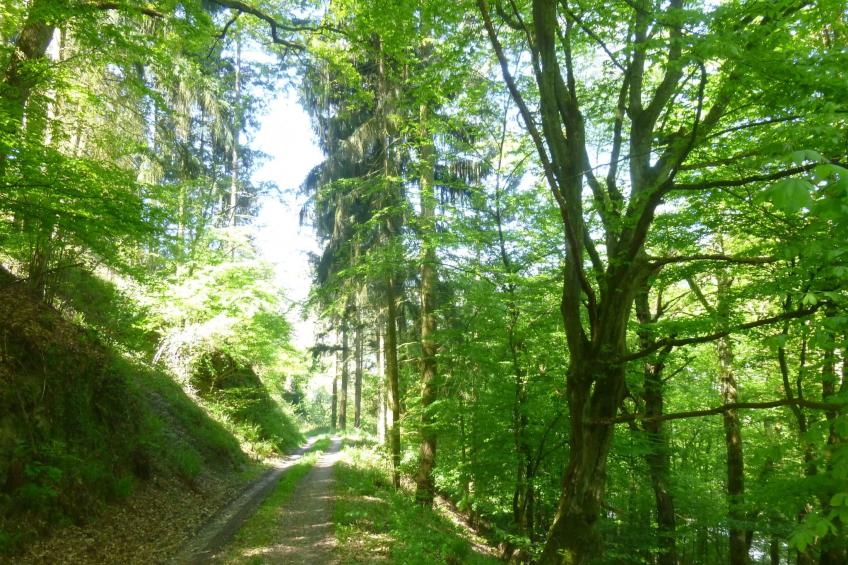Moselschiefer-Traumferienwohnung am Moselufer - foto 43