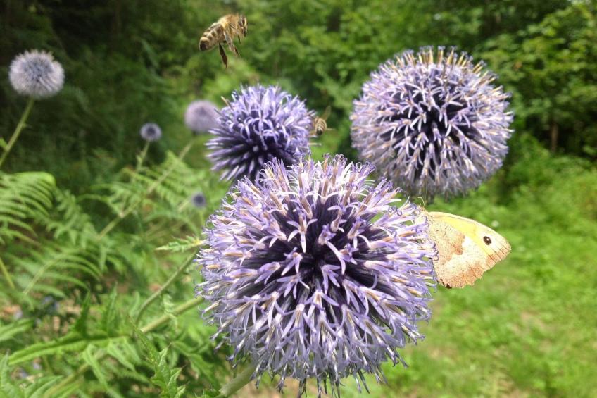 Kräuterhof-Ferienwohnung - foto 21