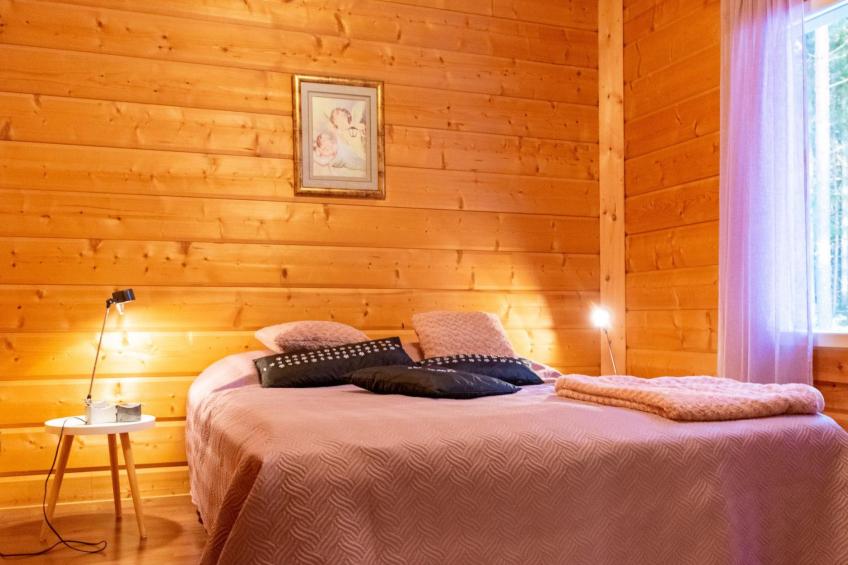 Näsinjoutsen - foto 11