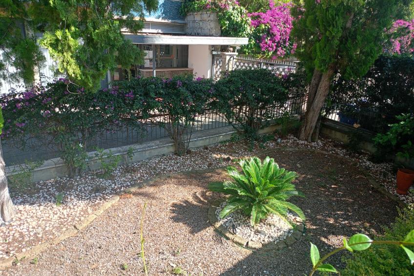 Bouganville - foto 34