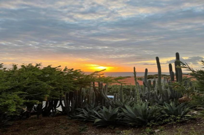 Villa Fleur de Marie - foto 28