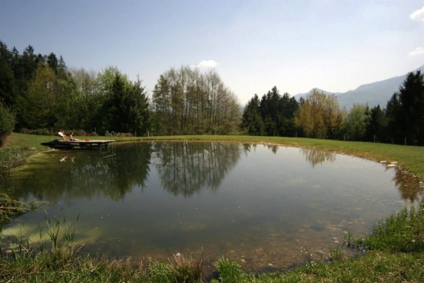 Huber - foto 22