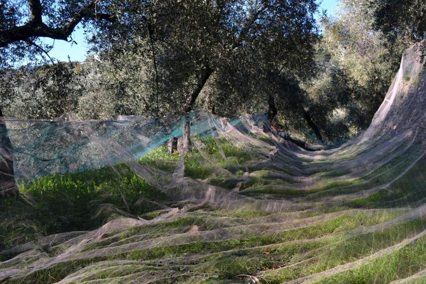 Charmantes Appartment in Diano San Pietro - foto 32