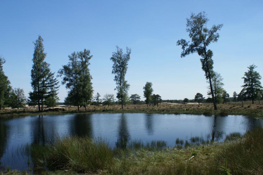 Geschmackvoll eingerichtetes Bauernhaus aus dem 19. - foto 38