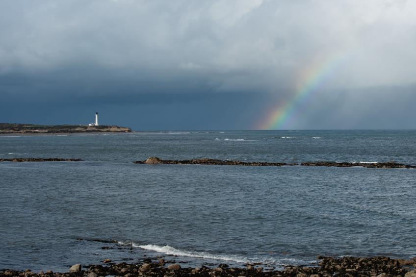 Marina View - foto 29