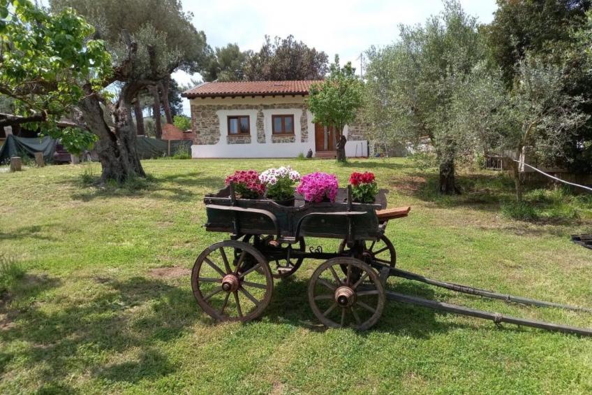 "Giotto" mit Terrasse