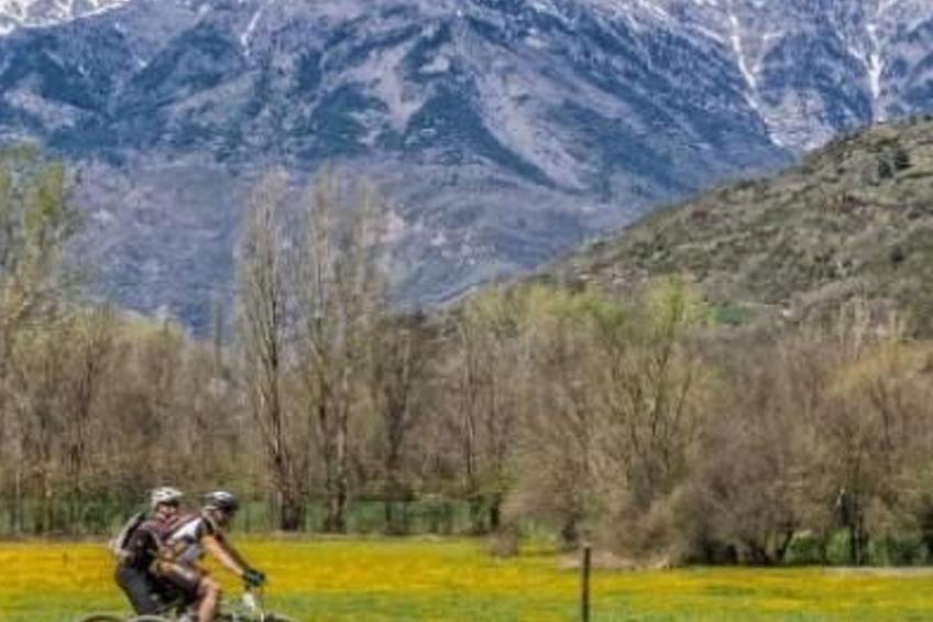 Appartement mit Terrasse - foto 39