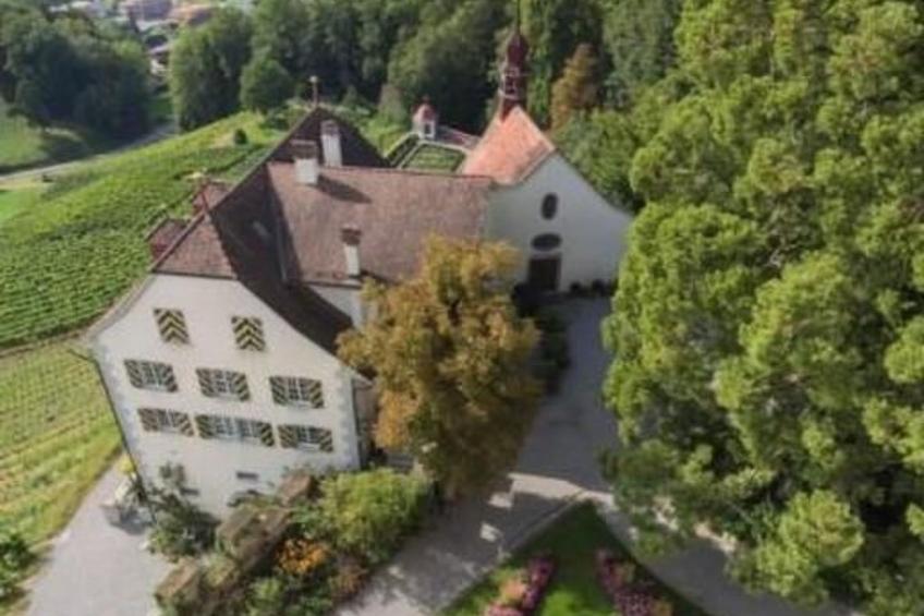 Schloss Heidegg - foto 4