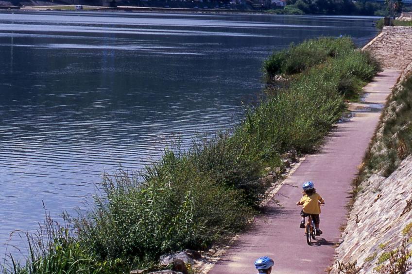 Die Ufer der Rhone - foto 21