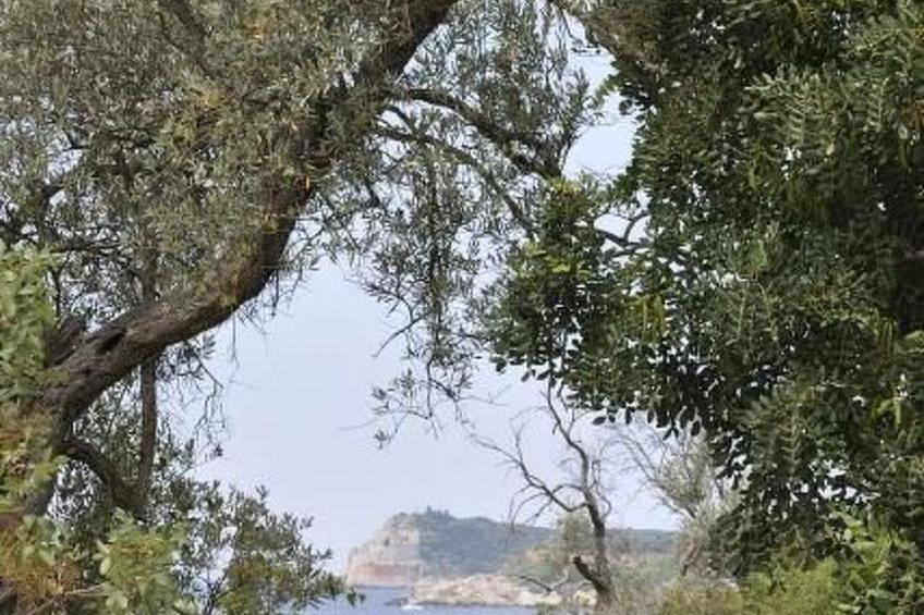 Villa Viktoria - foto 48