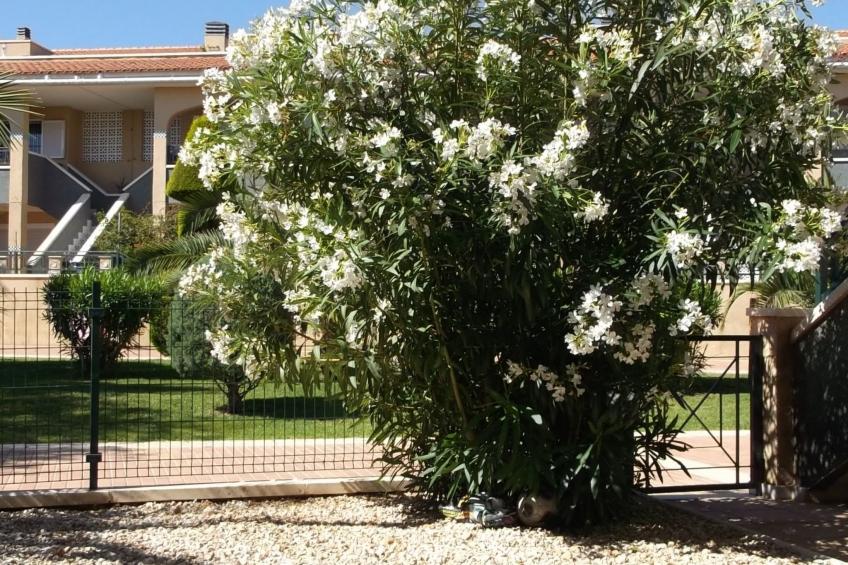 mit gemeinschaftlichem Pool - foto 30