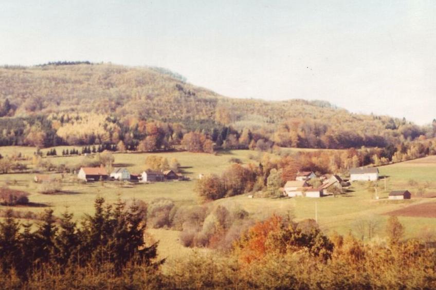 182713 - foto 12