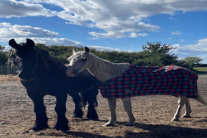 Dom wakacyjny z sauną i jacuzzi dla 2 osób Lubin - foto 19