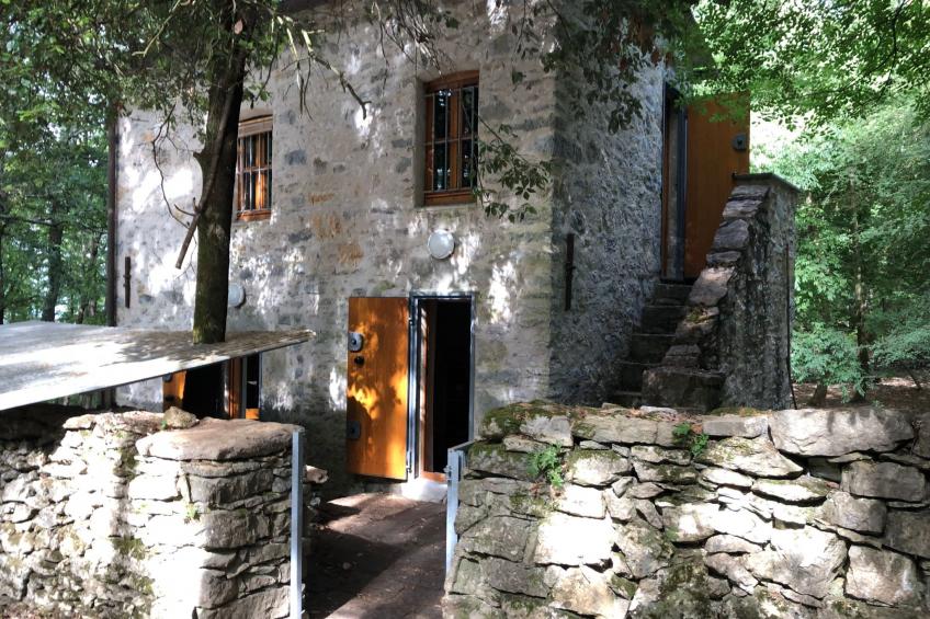 Kirschbäume, eine Oase im Wald zwischen Meer und Natur - foto 41