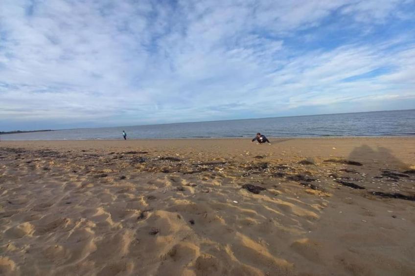 Le Village des Amareyeurs - foto 24