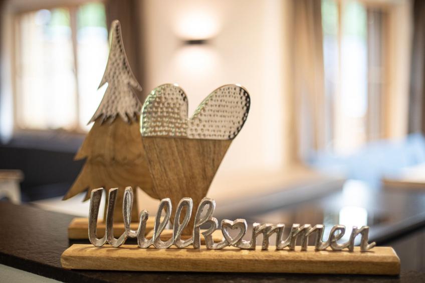 Dachstein Chalet Haus b - foto 4