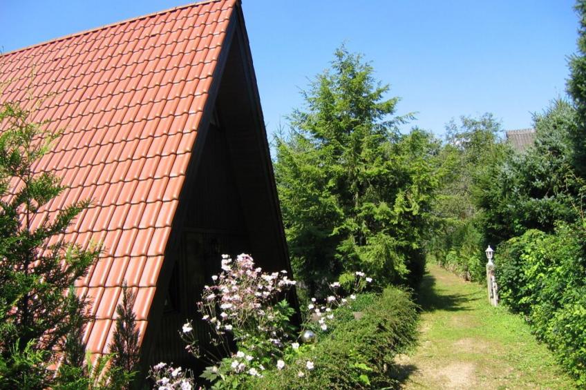 11780 - foto 2
