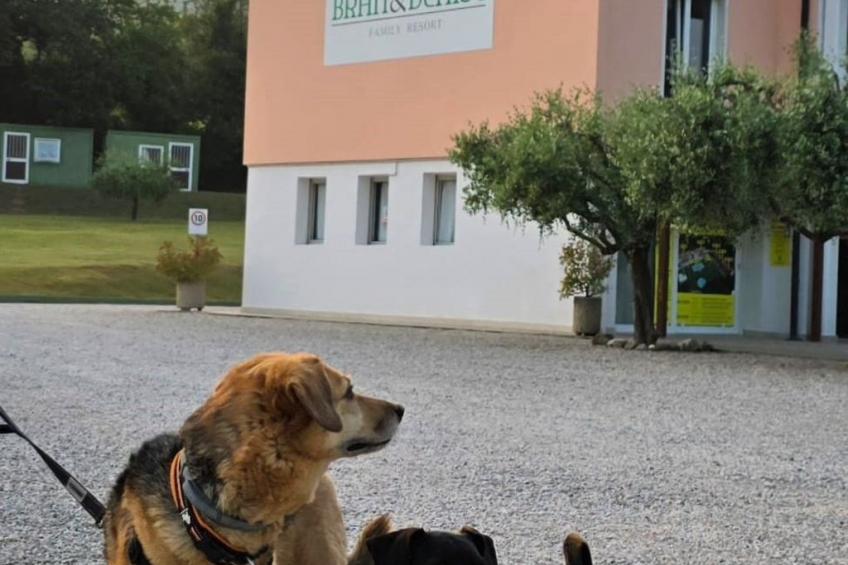 Wohnung in Costermano mit privatem Parkplatz - foto 26