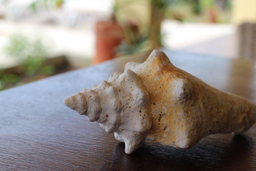 Villa Gogorobi mit privatem Pool - foto 26