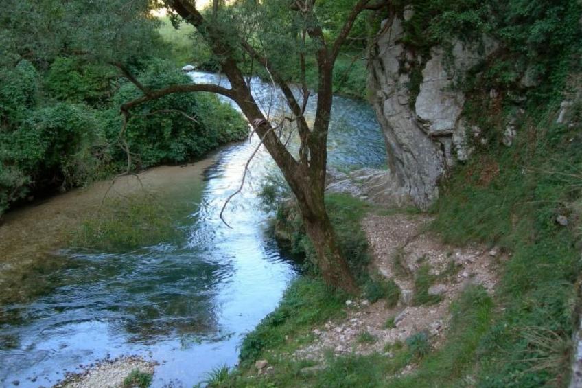 'Palazzo Bufalini - foto 27