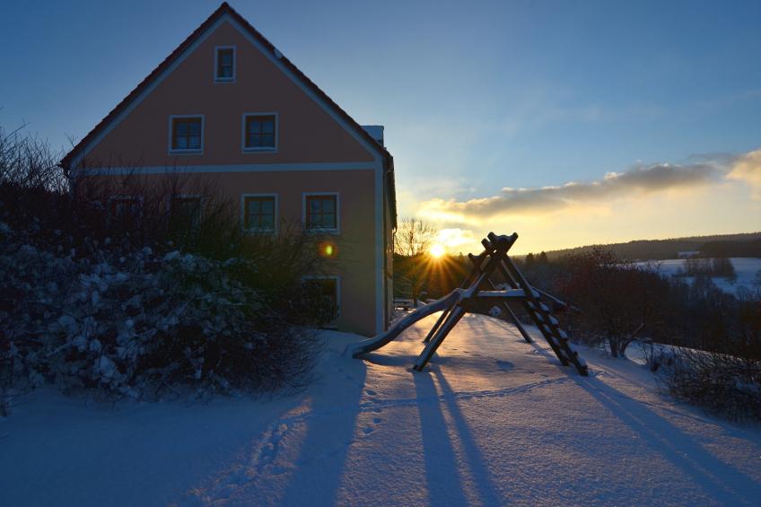 Blumenhof - Malven - foto 33