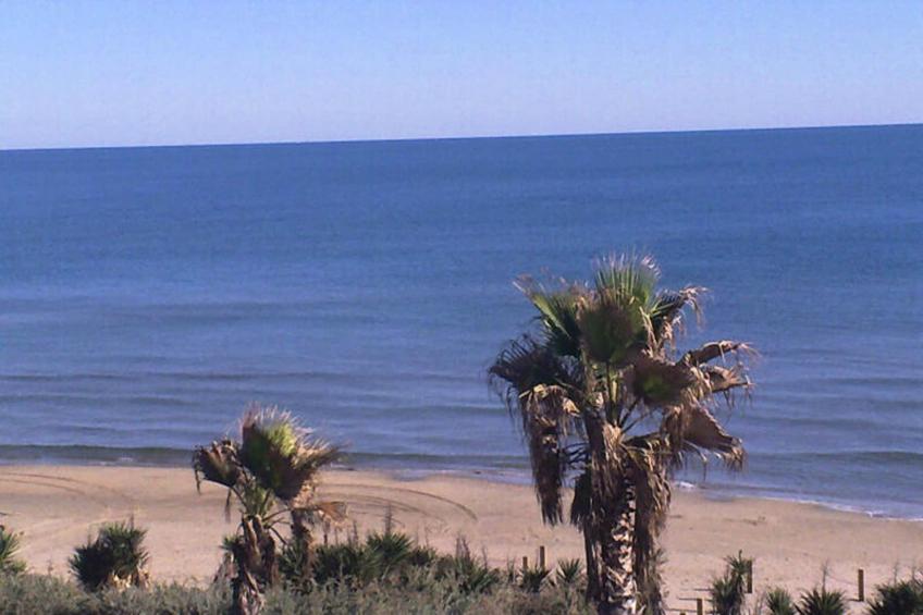 Résidence NATURISTE LA PALMERAIE - foto 24