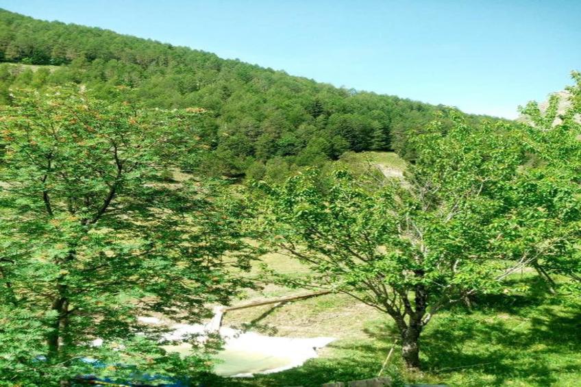 Le Mont d'Auron 3 - foto 39