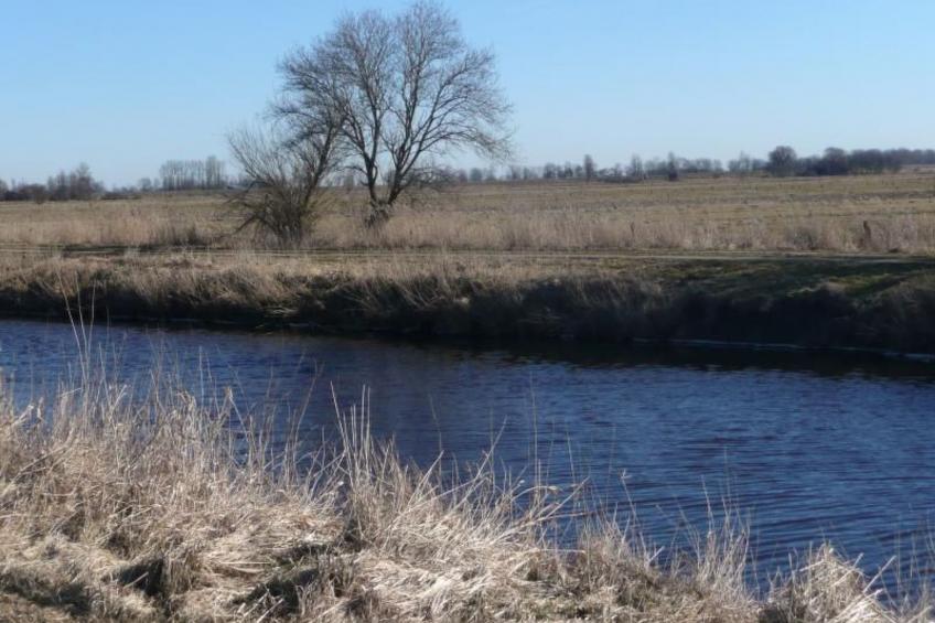 Gemütliches Ferienhaus am Deich mit Gartenzimmer - foto 23