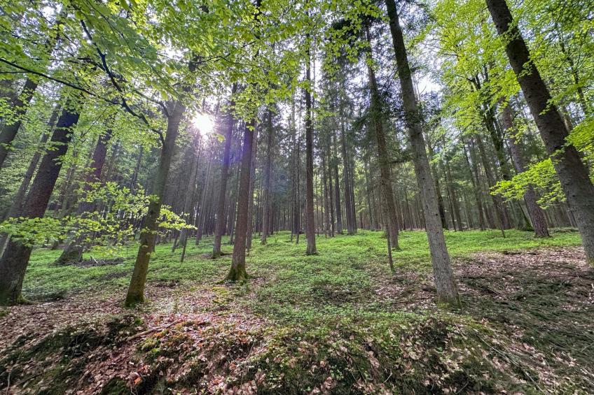 Feriendorf Seeblick - Tiny Nr 2 - foto 27