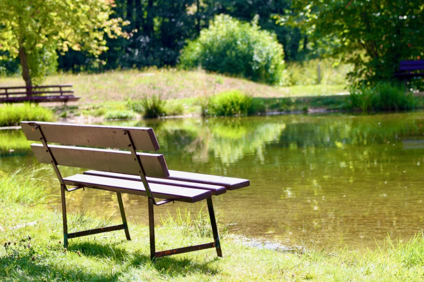 Am Wald gelegenes Ferienhaus "Wolf" mit Kamin - foto 24