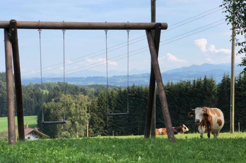 in Buchenberg mit Garten und Terrasse - foto 30